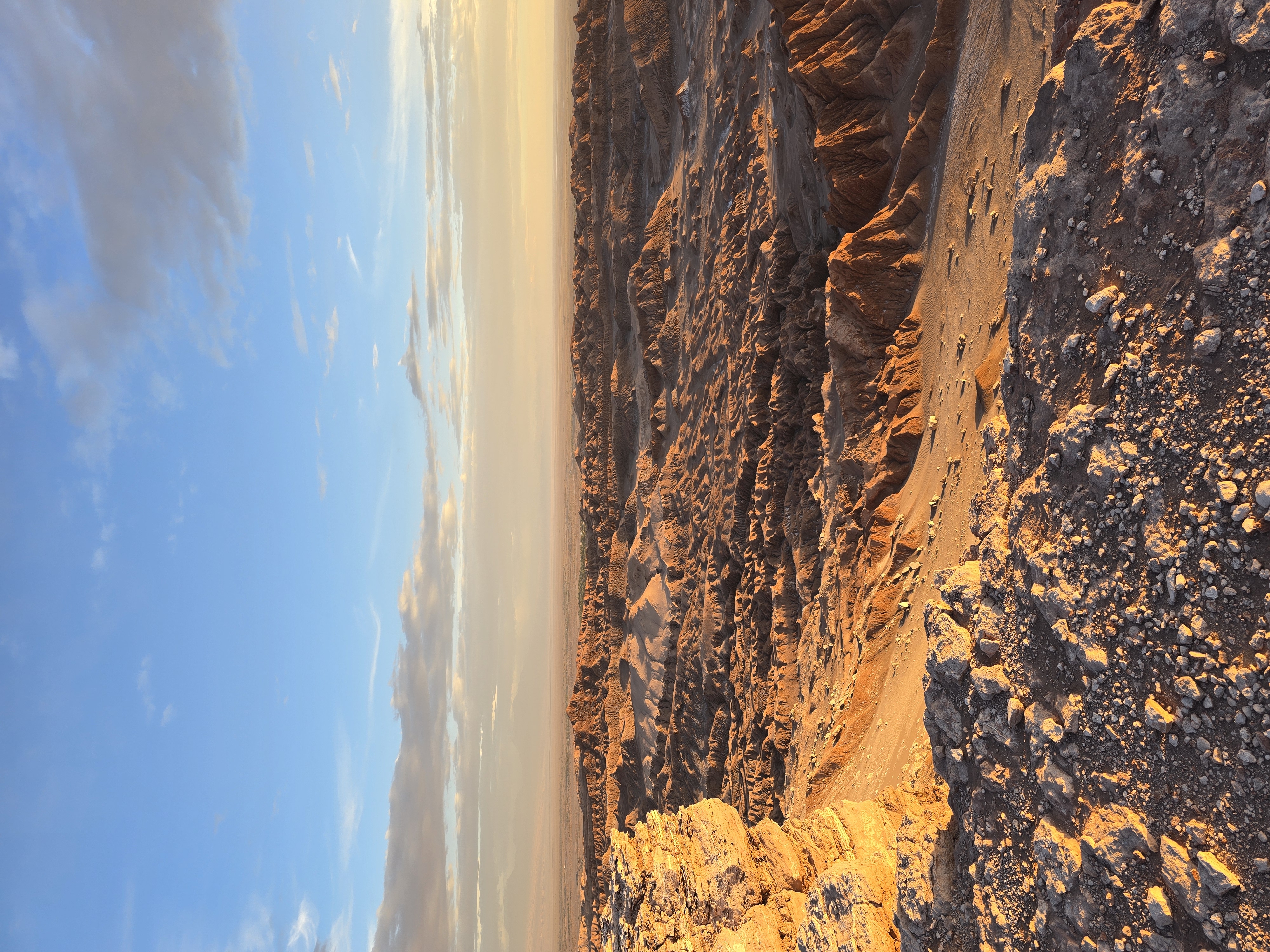 Ilona Canada 29 January, 2026