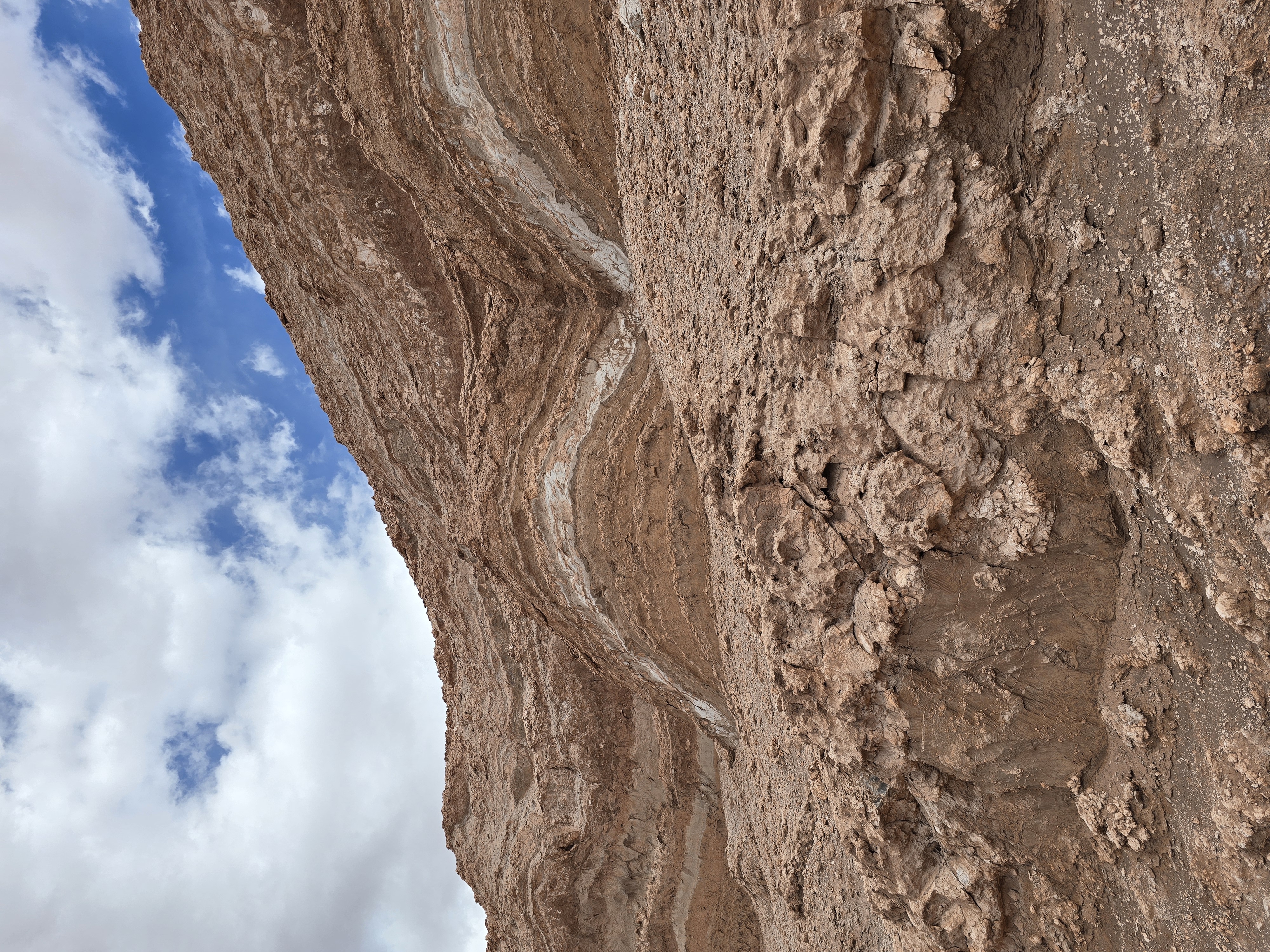 Ilona Canada 29 January, 2026