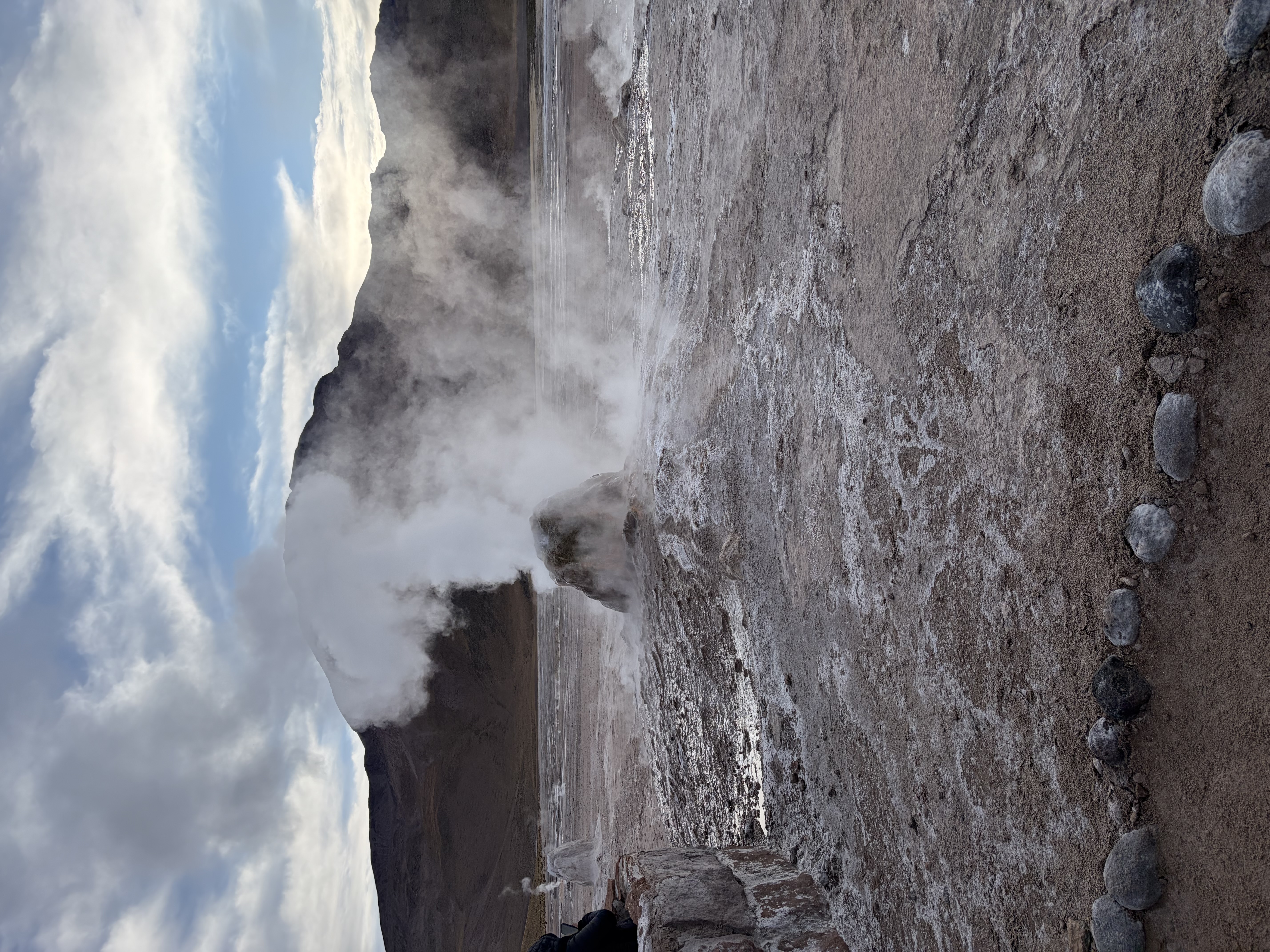 Milenka Chile 08 de noviembre de 2025