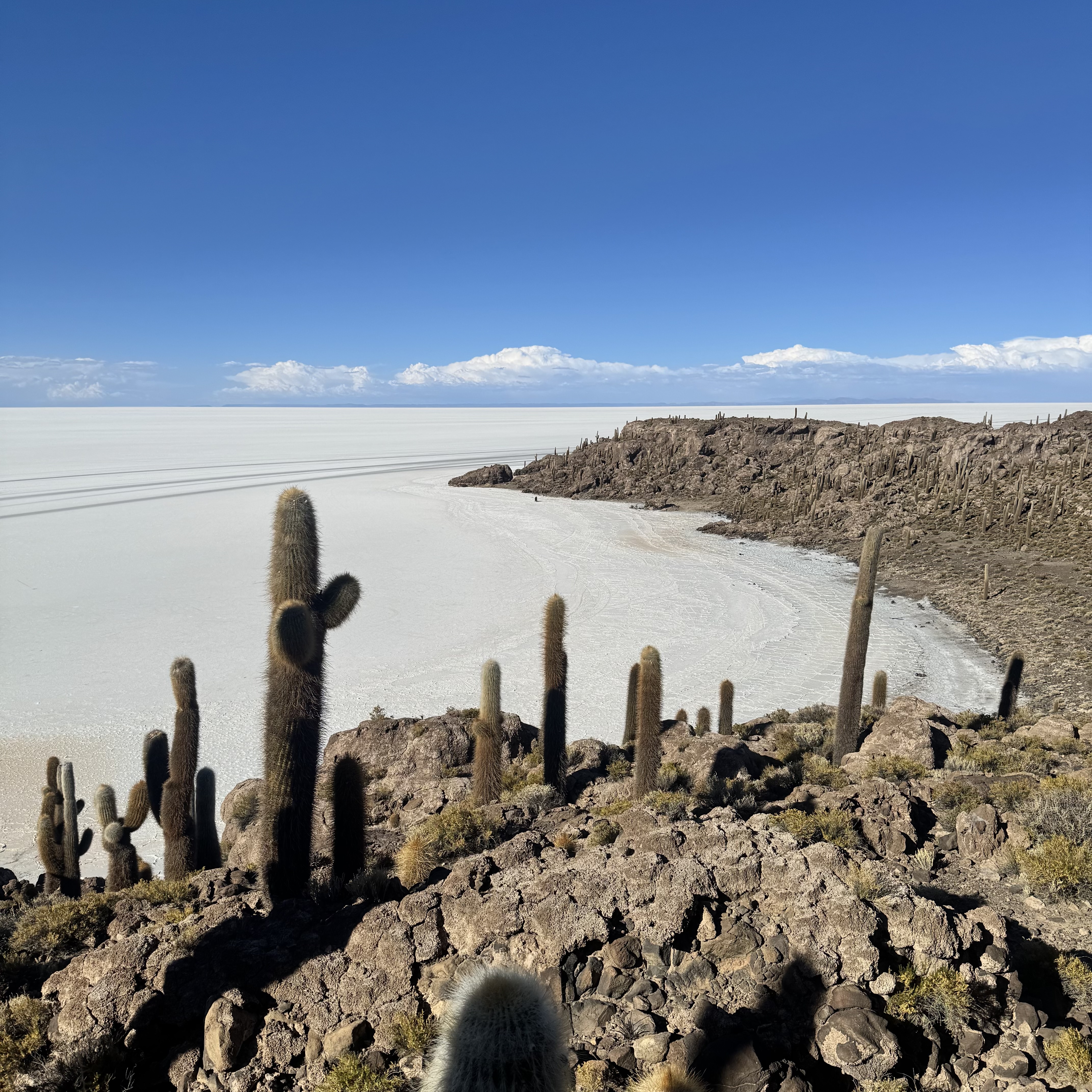 Paul Uk 24 de setembro de 2025