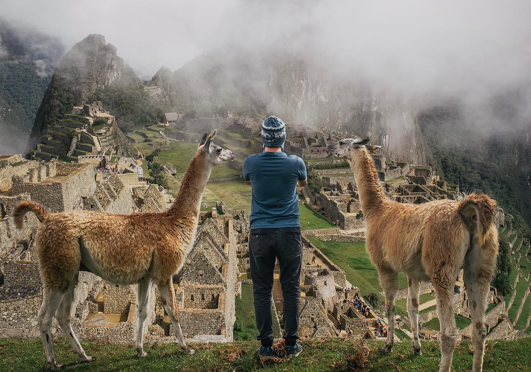 Viajero con dos llamas frente a machu picchu