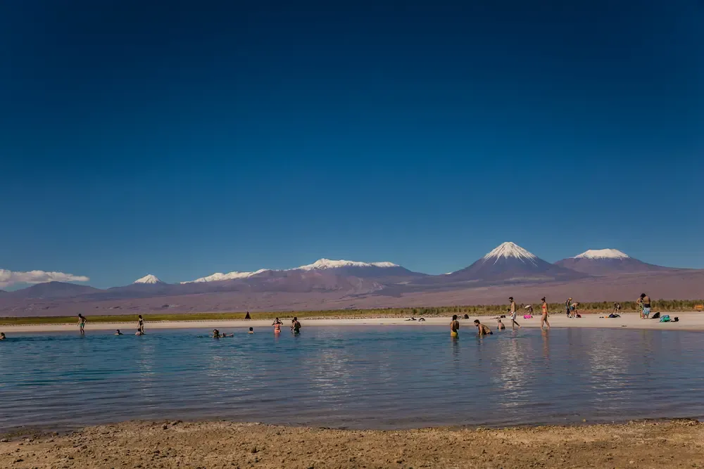 laguna cejar